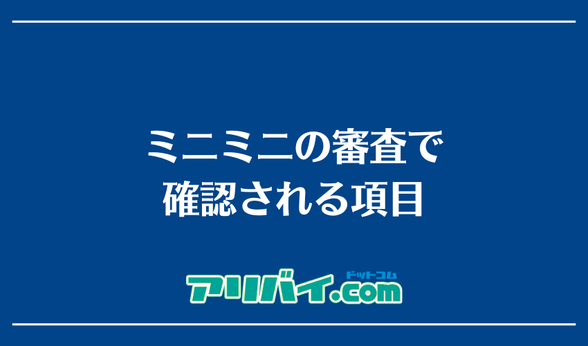 ミニミニの審査で確認される項目